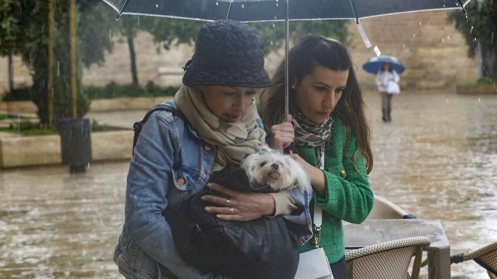 El Tiempo Hoy Y Mañana En Valencia, Alicante Y Castellón: Alerta ...